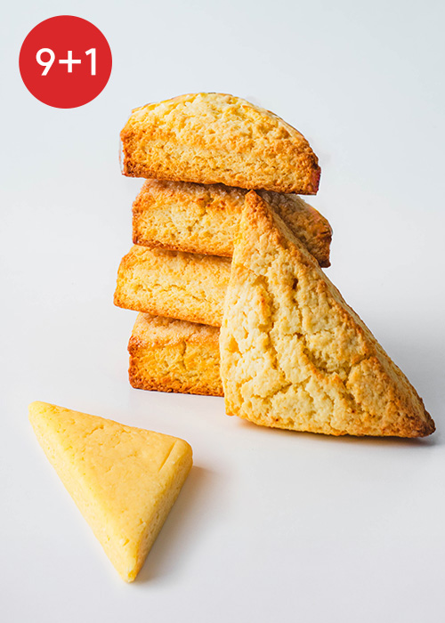 [9+1] 냉동생지 - 치즈 스콘