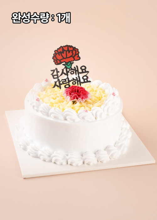[만들기세트] 카네이션 감사 케이크 - 포장까지 완벽구성
